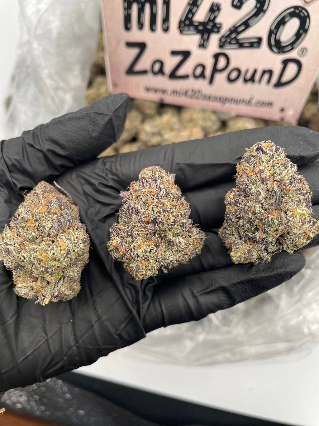 BLUE COOKIES