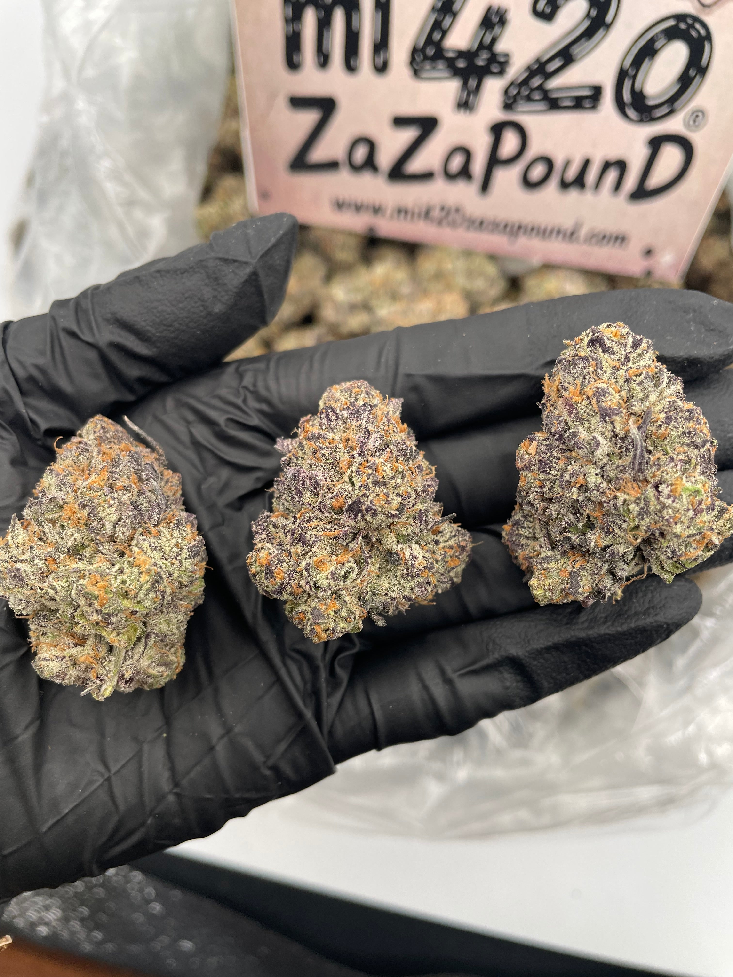 BLUE COOKIES