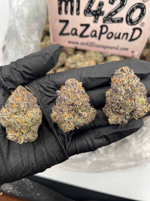 BLUE COOKIES
