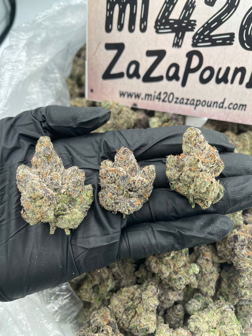 GCG - GOD’S GREEN CRACK
