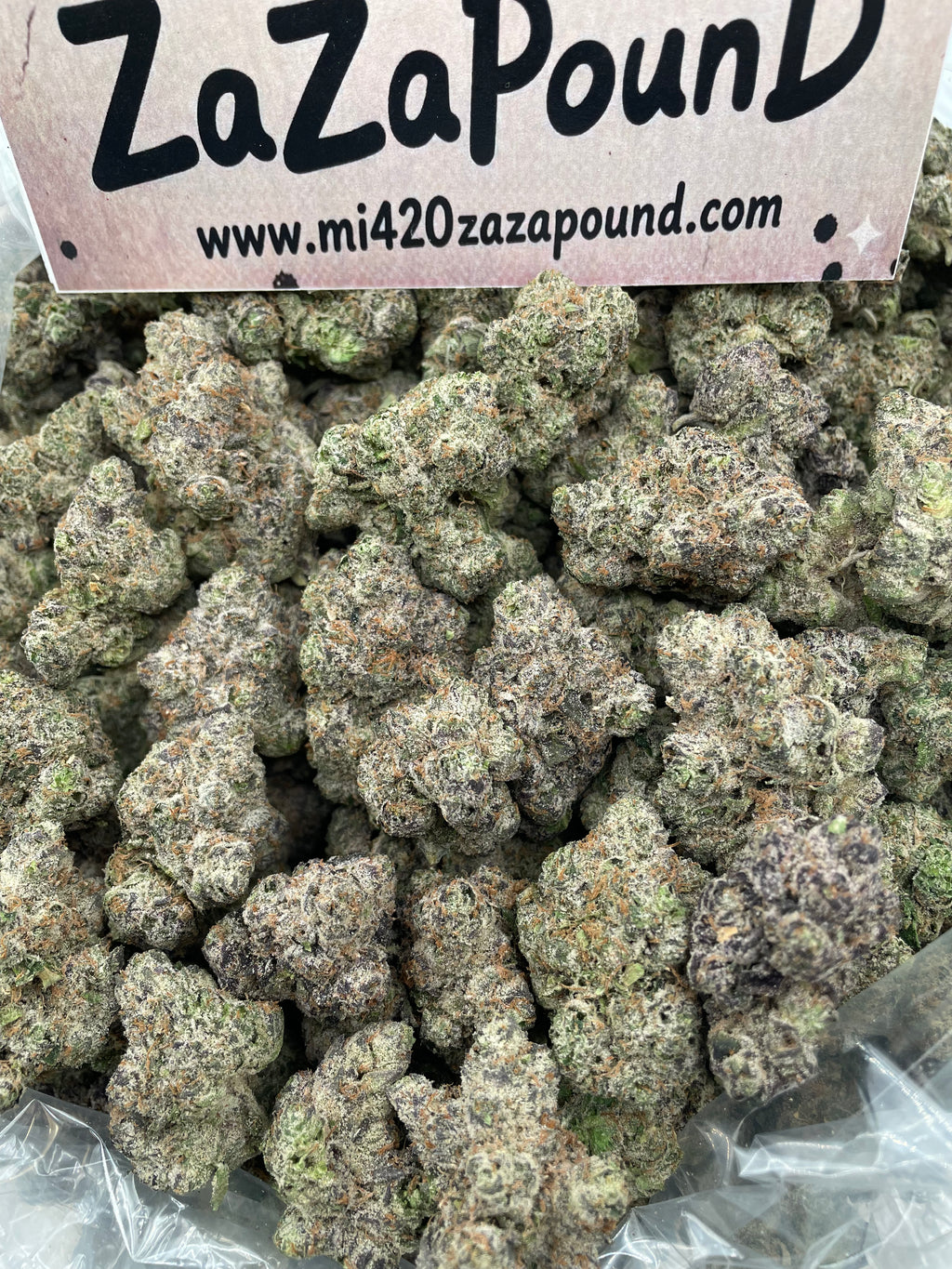 YCG - Y GERIEGA