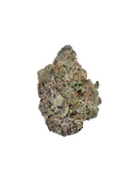 YCG - Y GERIEGA