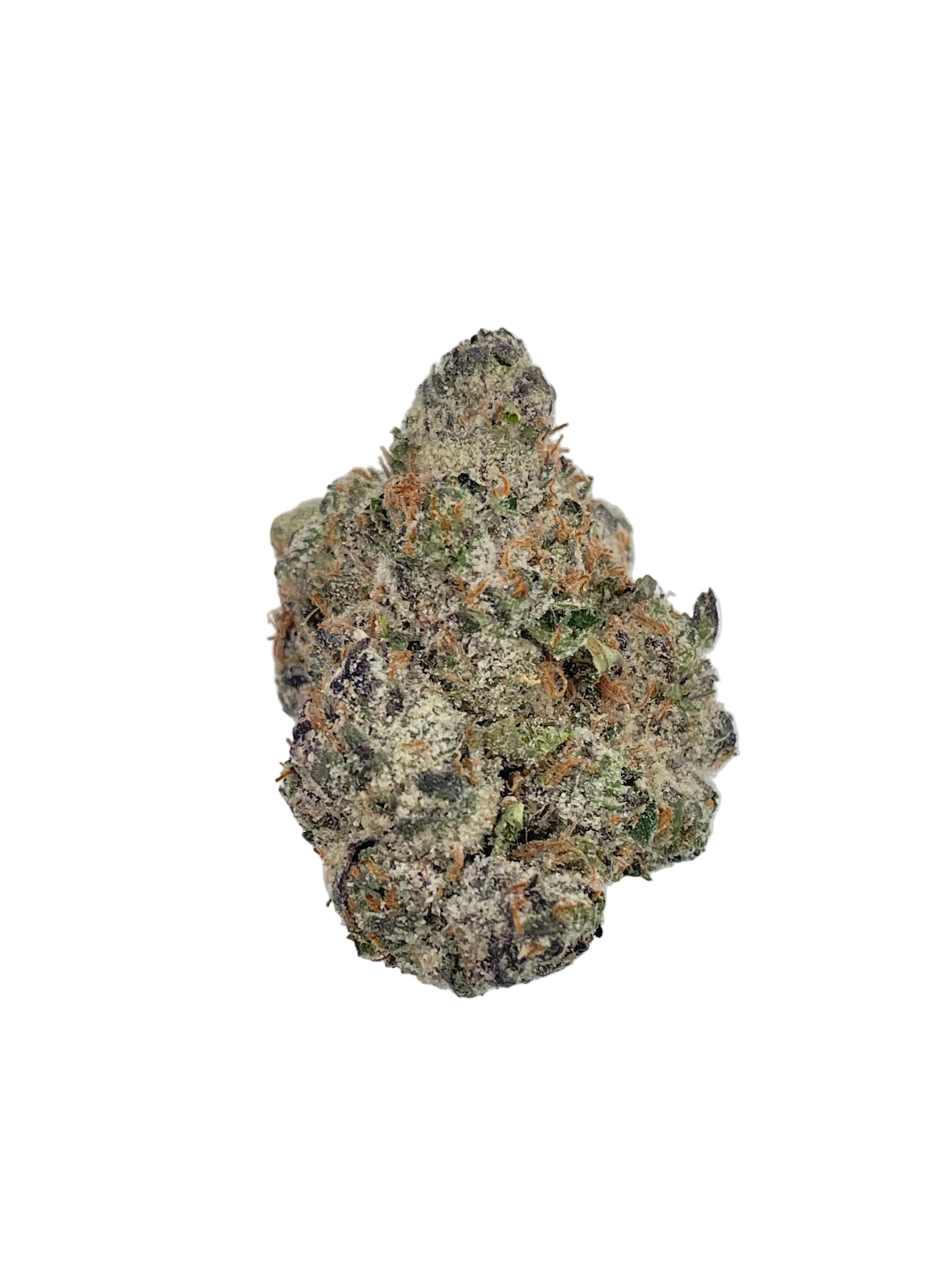 YCG - Y GERIEGA
