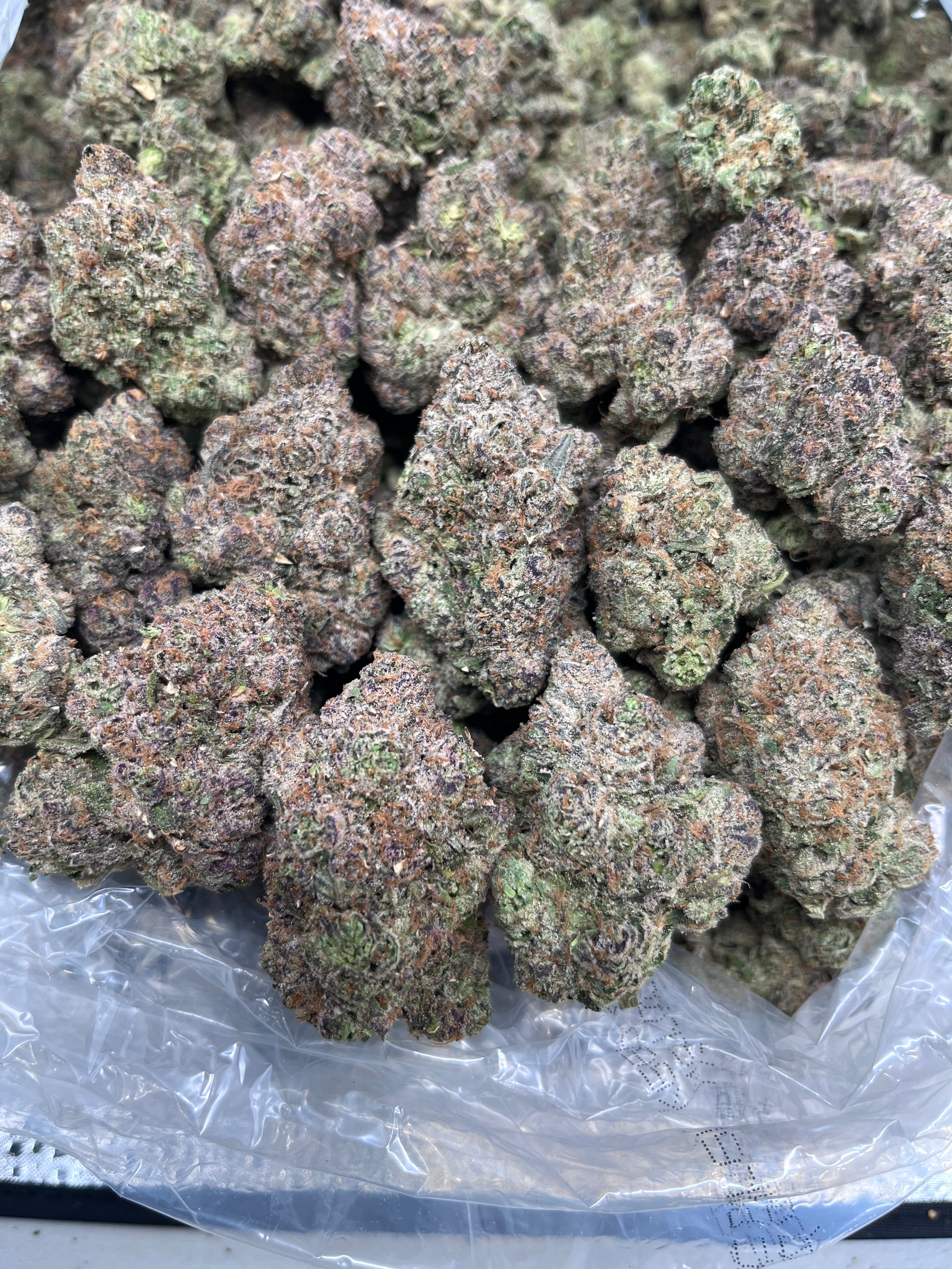 Ayahuasca Purple