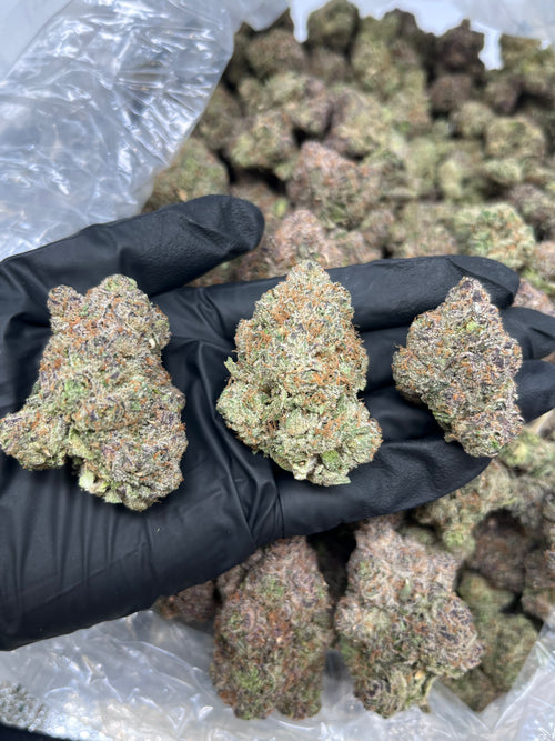 Ayahuasca Purple