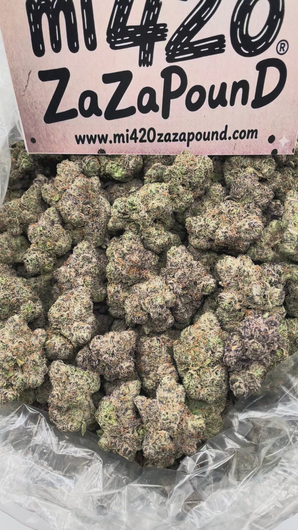 YCG - Y GERIEGA