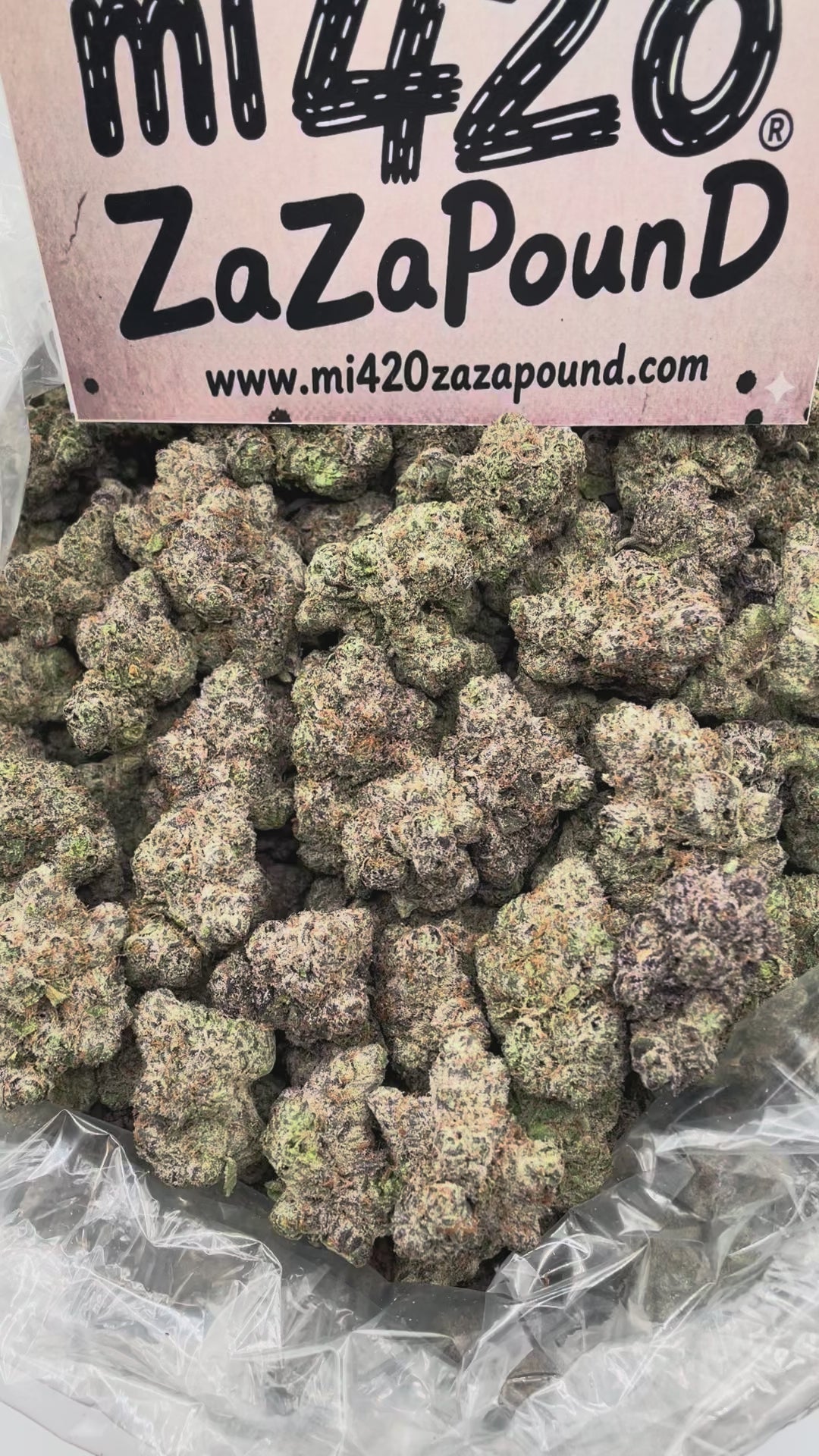 YCG - Y GERIEGA