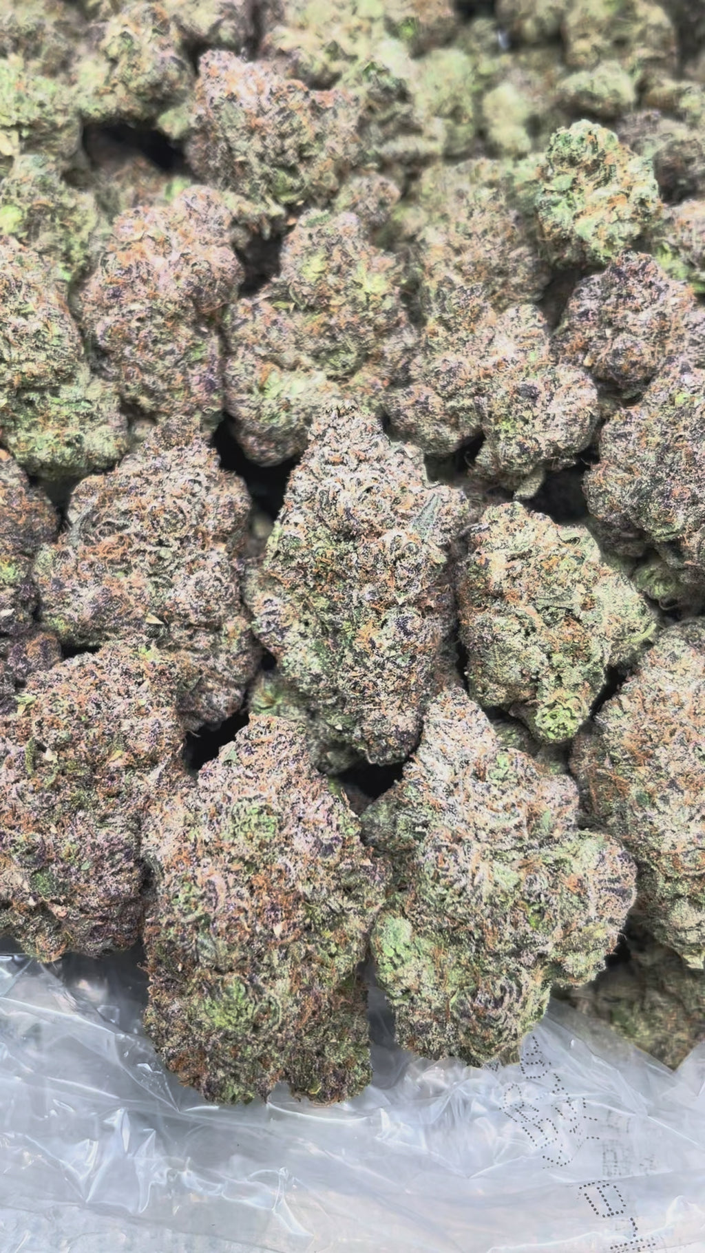 Ayahuasca Purple
