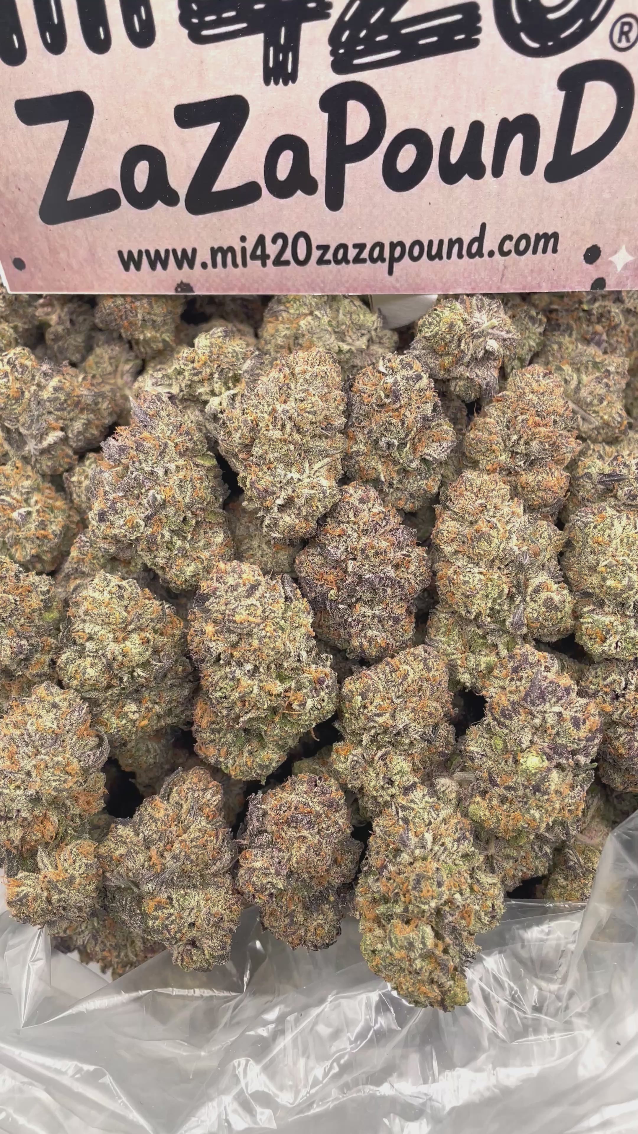 BLUE COOKIES